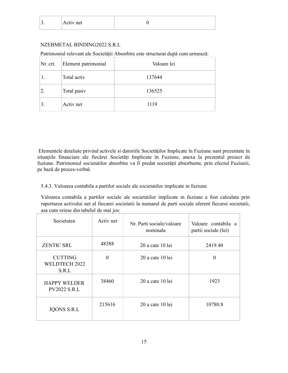 Proiect de fuziune – pagina 15